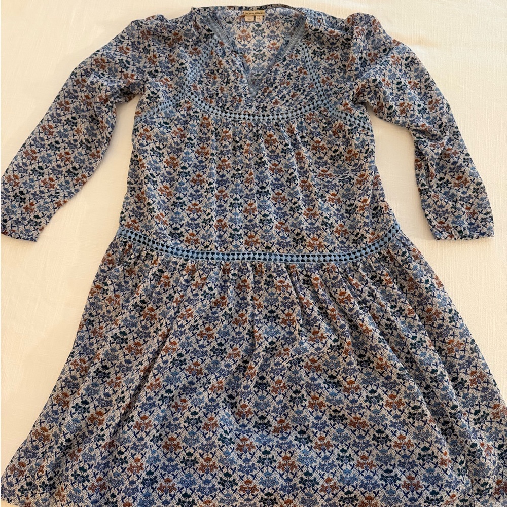 Anthropologie Blue and Brown Floral Mini Dress